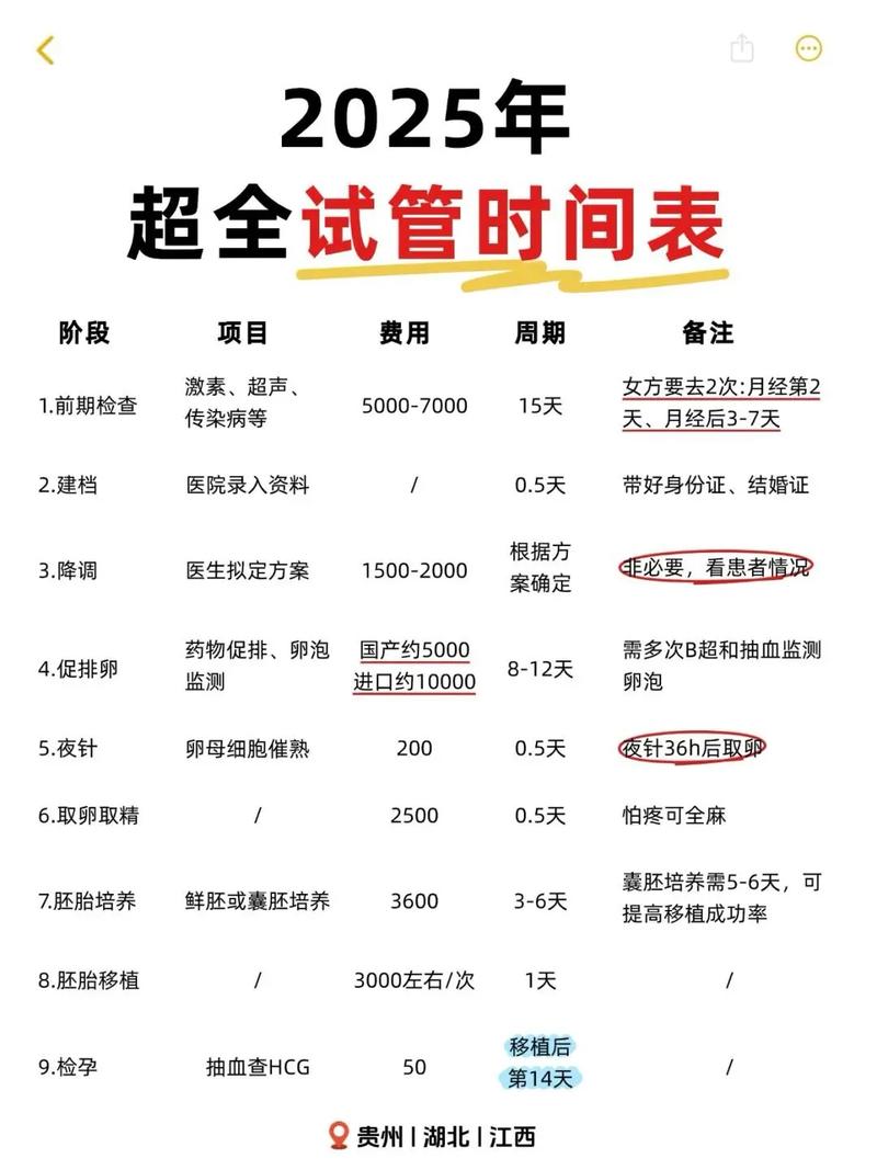 夫妻查看试管时间规划表