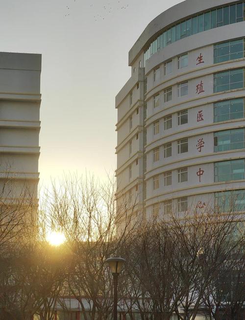 沈阳正规医院试管三代助孕 选对机构少走弯路的关键指南